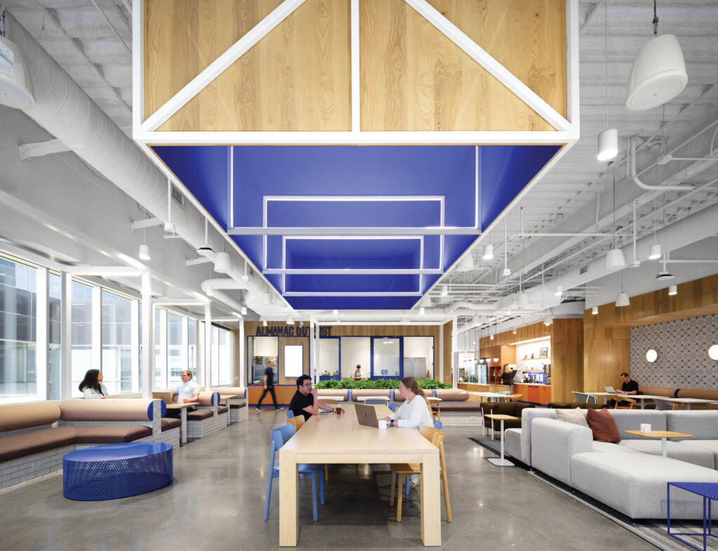 blue acoustic ceiling panels sit above a communal table