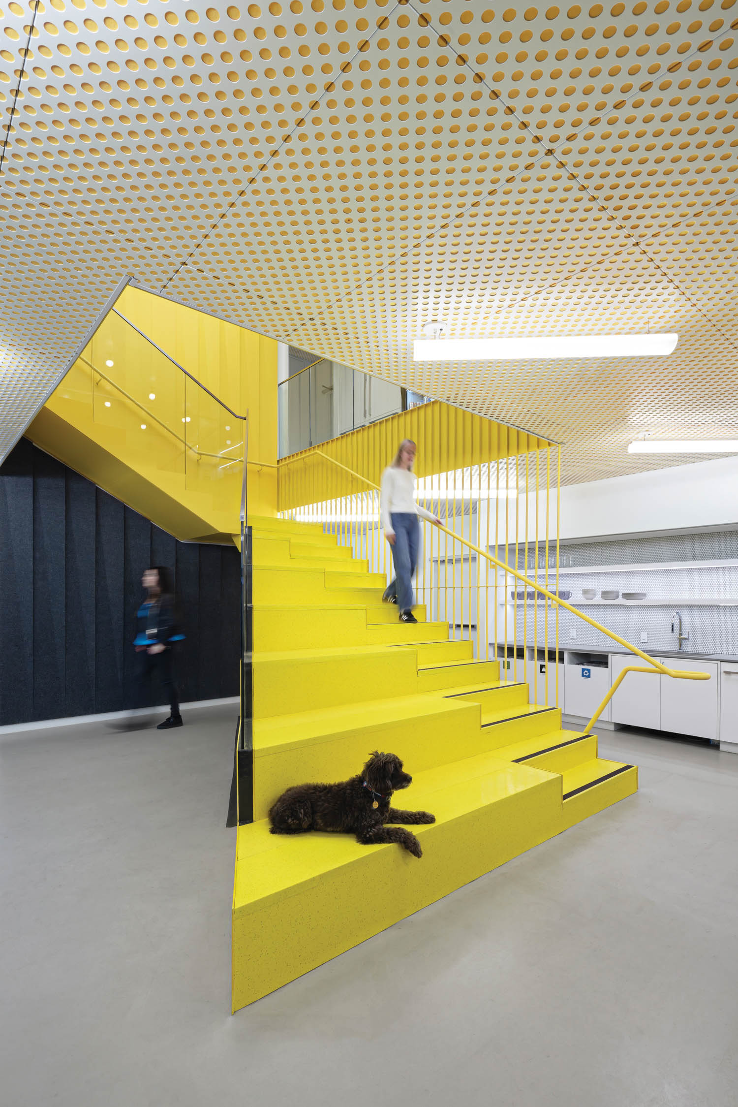 person walking down yellow staircase with a black dog on it