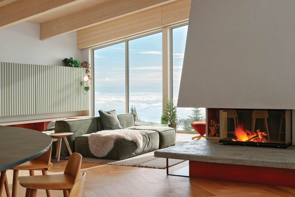 living room with fireplace and fuzzy couches